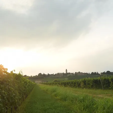 Il Giardino Di Cristina * Marcatelli